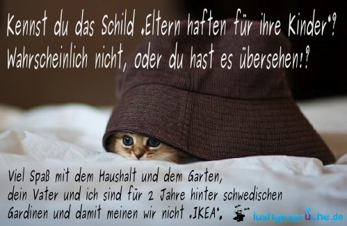 lustige Sprüche